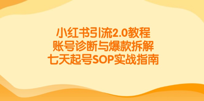 小红书引流2.0教程，账号诊断与爆款拆解，七天起号SOP实战指南-项目网
