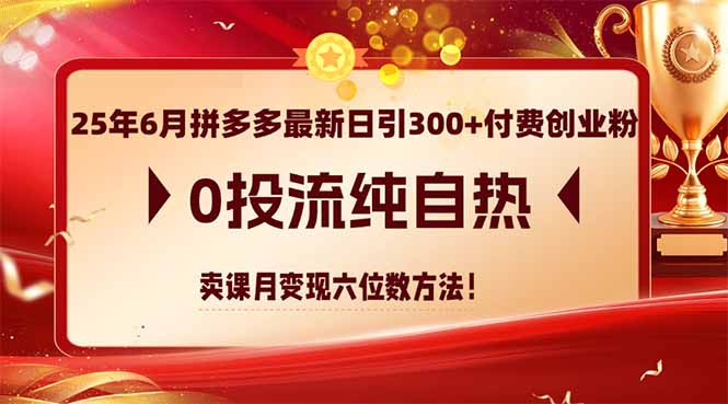 25年6月拼多多最新日引300+付费创业粉，0投流纯自热 卖课月变现六位数方法-项目网