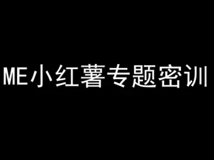 ME小红薯专题密训-小红书电商教程-项目网