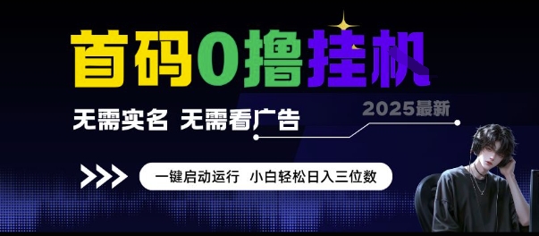 首码0撸挂G项目，无需实名无需看广告 一键启动运行，小白轻松日入三位数【揭秘】-项目网