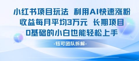 适合小白操作的小红书新项目，利用AI快速涨粉，收益每月平均1W+-项目网