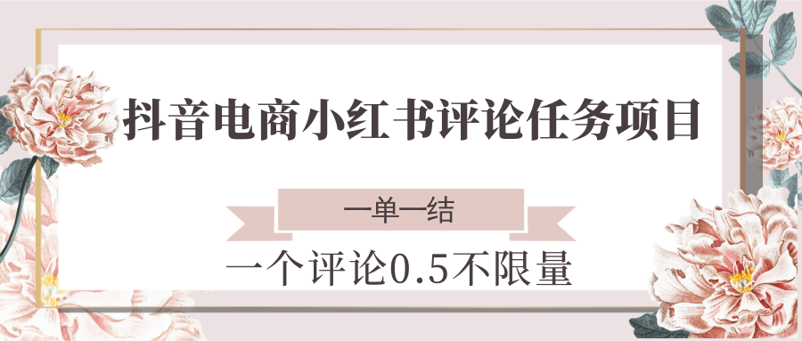 抖音电商小红书评论任务项目，一个评论0.5，一单一结 不限量-项目网
