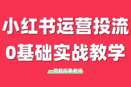 李老师·小红书运营投流，0基础实战教学(更新)-项目网