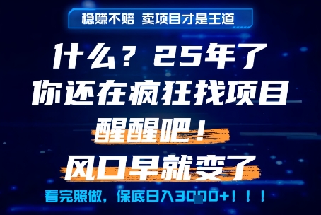 什么？25年你还在疯狂找项目做，醒醒吧，看完这些你全都懂了！【揭秘】-项目网