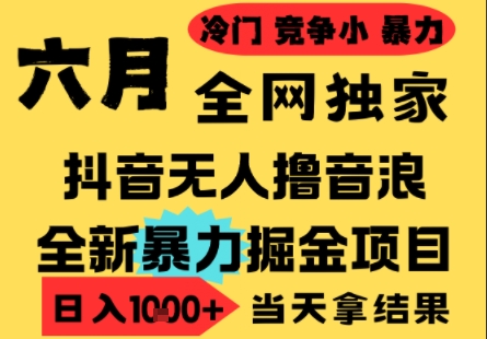 25年6月高爆抖音无人直播最新撸音浪掘金项目，小白可做，无脑日入1k+，门槛低可批量矩阵【揭秘】-项目网