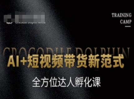 AI+短视频带货新范式，全方位达人孵化课-项目网
