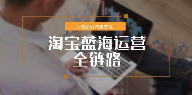 淘宝蓝海运营全链路，从选品到流量变现，小类目突围完整方案-项目网