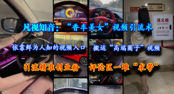 凡视知音：“香车美女”视频引流术，依靠鲜为人知的视频入口，搬运“高端圈子”视频，引流精准创业粉，评论区一堆“求带”-项目网