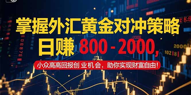 掌握外汇黄金对冲策略，日赚 800 – 2000，小众高回报创业机会，助你实…-项目网