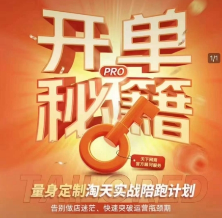 淘宝开单秘籍PRO，量身定制淘天实战陪跑计划，告别做店迷茫、快速突破运营瓶颈期(更新6月)-项目网