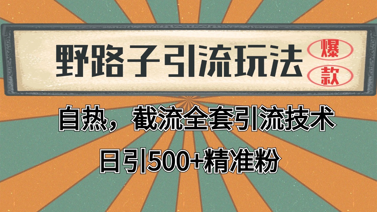 2024首发野路子引流玩法截流自热全平台打法，全自动引流【日引2000+精准客户】-项目网