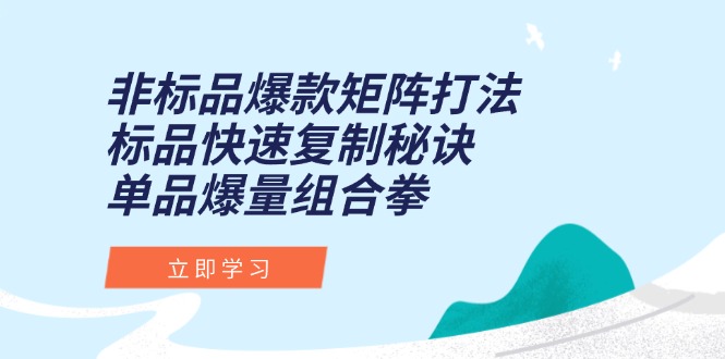 非标品爆款矩阵打法，标品快速复制秘诀，单品爆量组合拳-项目网