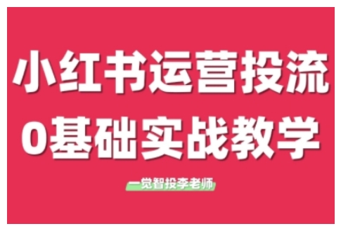小红书运营投流，小红书广告投放从0到1的实战课，学完即可开始投放(更新)-项目网