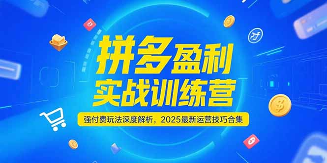 拼多多盈利实战训练营，强付费玩法深度解析，2025运营技巧合集-更新6月-项目网