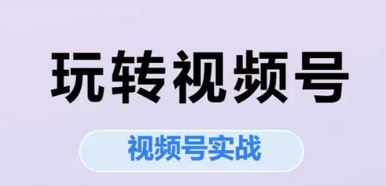 玩转视频号，视频号实战系列课-项目网