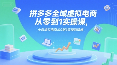 拼多多全域虚拟电商从零到1实操课，小白虚拟电商从0到1实操到精通-项目网