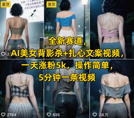 全新赛道，AI美女背影杀+扎心文案视频，一天涨粉5k，操作简单，5分钟一条视频-项目网