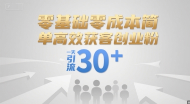 零基础零成本简单高效获客创业粉，一天引流30+-项目网