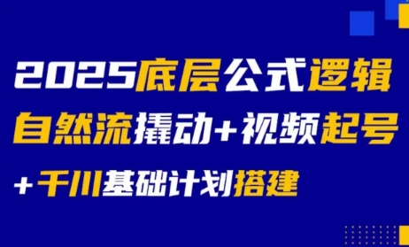 大明老师·底层公式逻辑自然流+千川搭建-项目网