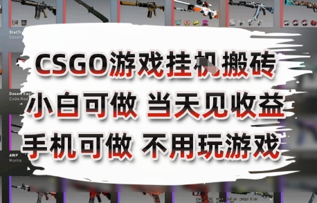 CSGO游戏挂G搬砖，小白纯手机即可操作，不用电脑打游戏，日入3张+，副业网创项目【揭秘】-项目网