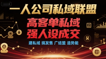 一人公司私域联盟，高客单私域，强人设成交，建私域 搞发售 广结盟 造势能-项目网