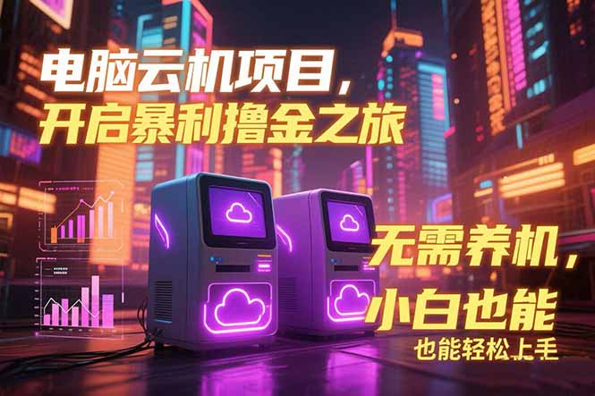 电脑云机项目 暴力撸金玩法，不需要养机 配置没有要求 单机100个窗口一…-项目网
