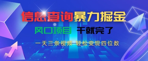 信息查询暴力掘金，一天三条视频，轻松变现四位数，风口项目干就完了【揭秘】-项目网