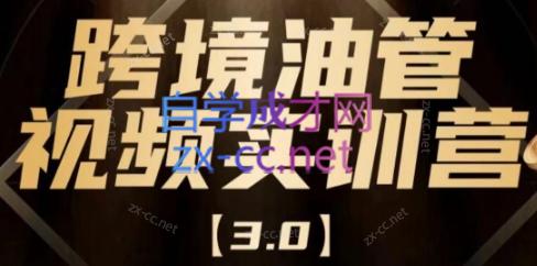 阿蔺Leo·跨境油管视频YouTube实训营(更新2025)-项目网
