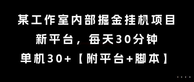 某工作室内部掘金挂G项目，新平台，每天30分钟，单机30+【揭秘】-项目网