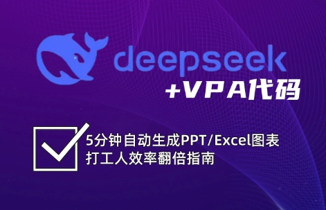 DeepSeek从入门到精通：解锁Excel和VBA高效办公新技能(更新)-项目网
