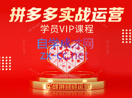 推易电商·拼多多实战运营课(更新2025月)-项目网