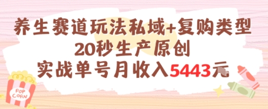 养生赛道玩法私域+复购类型，20秒生产原创实战单号月收入5k+-项目网