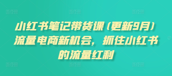 小红书笔记带货课(更新25年6月)流量电商新机会，抓住小红书的流量红利-项目网