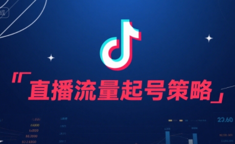 尼采老师·直播流量起号实战课-项目网