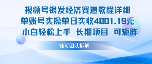 视频号银发经济赛道单账号实操单日实收1k+，小白轻松上手长期项目-项目网