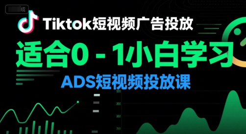 Tiktok短视频广告投放，适合0-1小白学习ADS短视频投放课-项目网