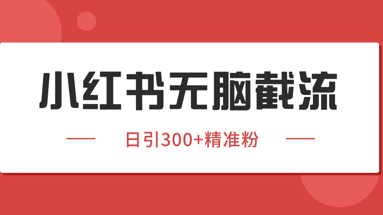 小红书截流同行客源，独家野路子获客玩法 日引200+暴力获客-项目网
