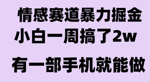 情感暴力掘金项目，新人操作一周挣了2W，长期稳定小白可做【揭秘】-项目网