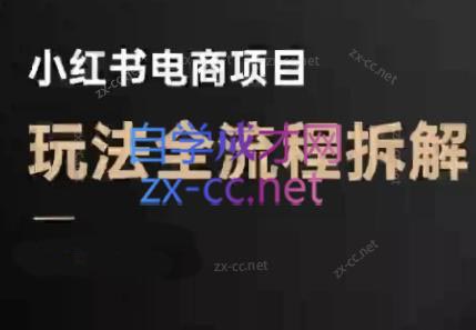 菲菲老师·小红书电商玩法(更新7月)-项目网