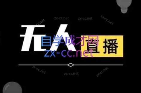 宝子哥·无人直播-非实时防风技术(更新7月)-项目网