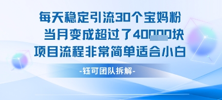 每天稳定引流30个人 当月变成超过了4个W项目流程非常简单适合小白-项目网