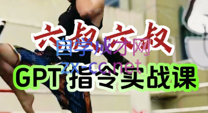 六叔的AI指令实战课(更新7月)-项目网