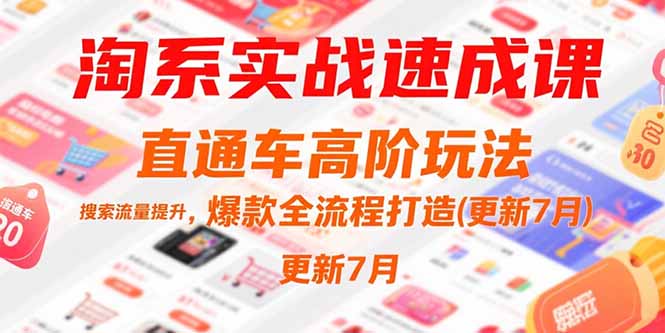 淘系实战速成课，直通车高阶玩法，搜索流量提升，爆款全流程打造(更新7月-项目网