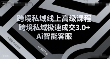 跨境私域线上高级课程，跨境私域极速成交3.0+Ai智能客服-项目网