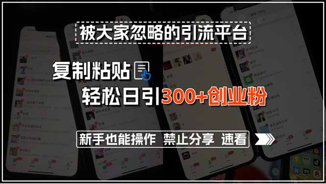 被大家忽略的引流平台，复制粘贴轻松日引300+创业粉，新手也能操作，禁…-项目网