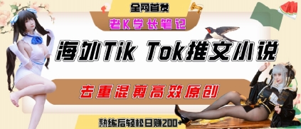海外tiktok小说推文暴力项目，高停留率，高转化率，上手后一天搞顿饭钱不是问题-项目网