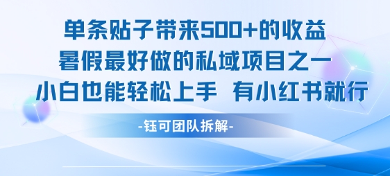 单条贴子带来5张的收益，暑假最好做的私域项目之一，小白也能轻松上手，有小红书就行-项目网