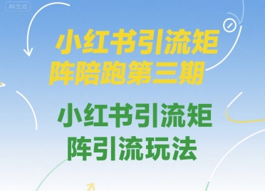 小红书引流矩阵陪跑第三期，小红书引流矩阵引流玩法-项目网