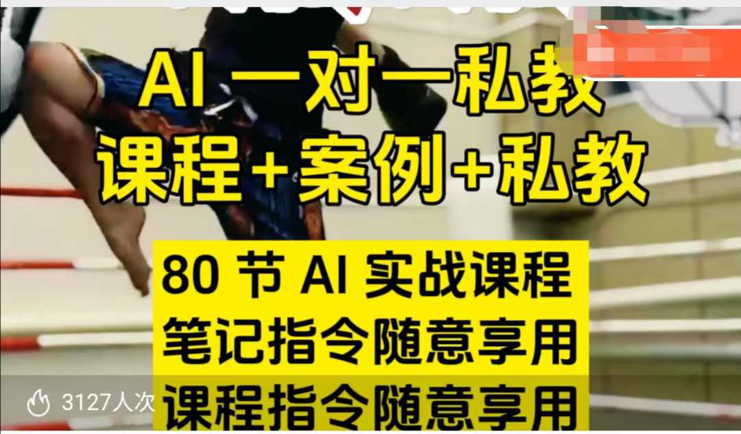AI指令实战课，课程+案例，80节AI实战课程，笔记指令随意享用，课程指令随意享用(更新7月)-项目网