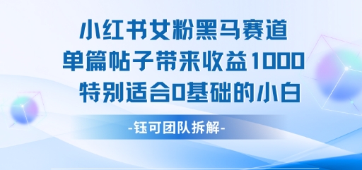 小红书女粉黑马赛道单篇帖子带来收益1k+，特别适合0基础的小白-项目网